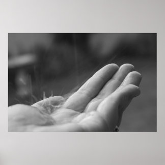 Pôster Chuva Capturada