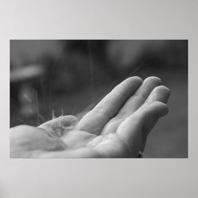 Pôster Chuva Capturada (Frente)