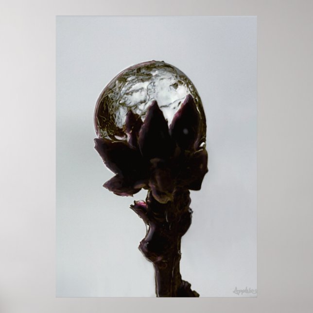 Poster Chuva congelada na fotografia de galho de árvores (Frente)