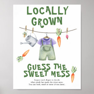 Poster chuva de bebê no mercado de agricultores - doce ba