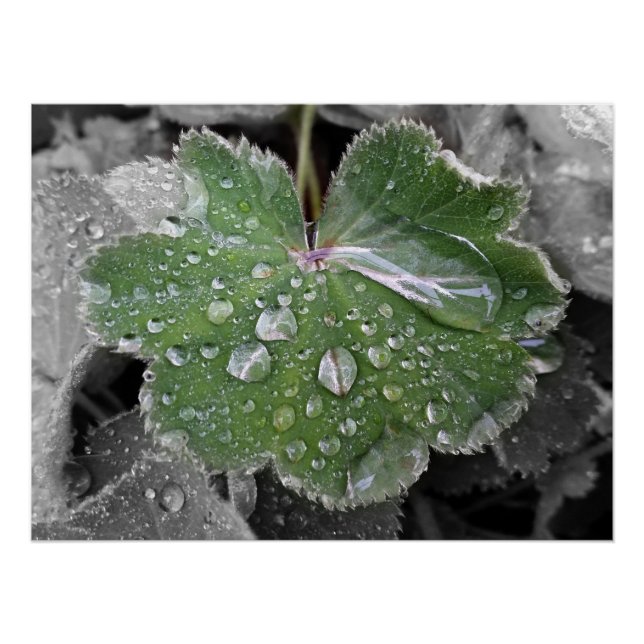 Pôster chuva pesada (Frente)