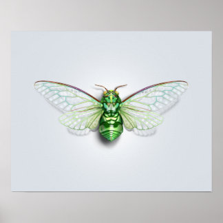 Poster Cicada