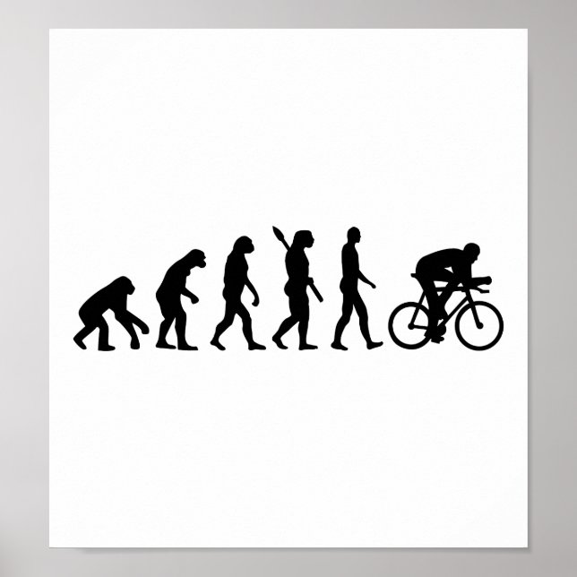 Poster Ciclo de evolução (Frente)