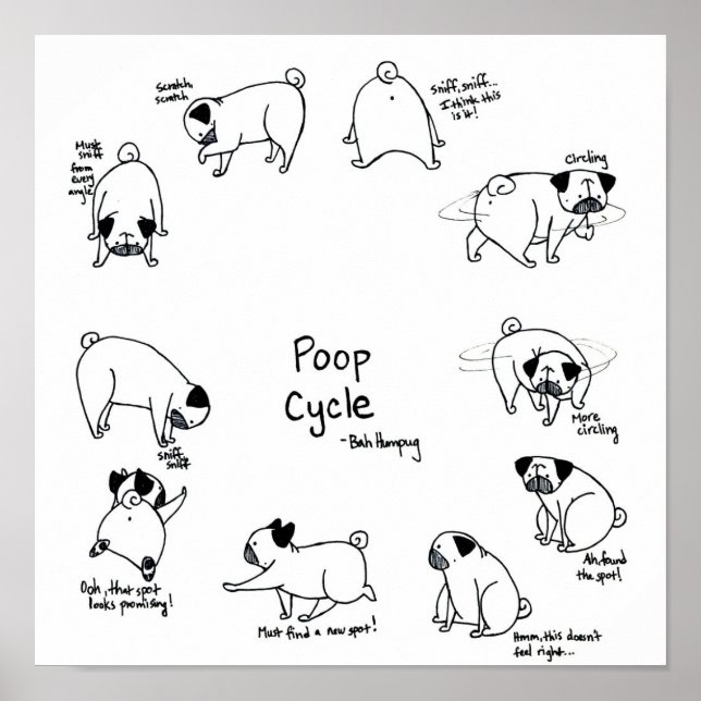 Pôster Ciclo de Poop (Frente)