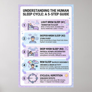 Poster Ciclo de Sono Humano: Um Guia Infográfico de 5 Eta