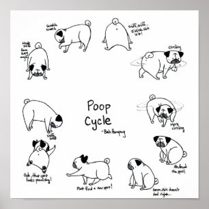 Pôster Ciclo do tombadilho do Pug