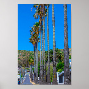 Poster Cidade do Cabo, Fresnaye, África do Sul