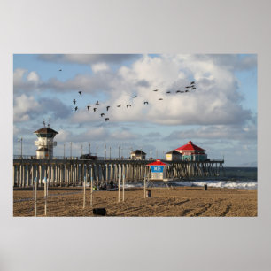 Poster Cidade do surf