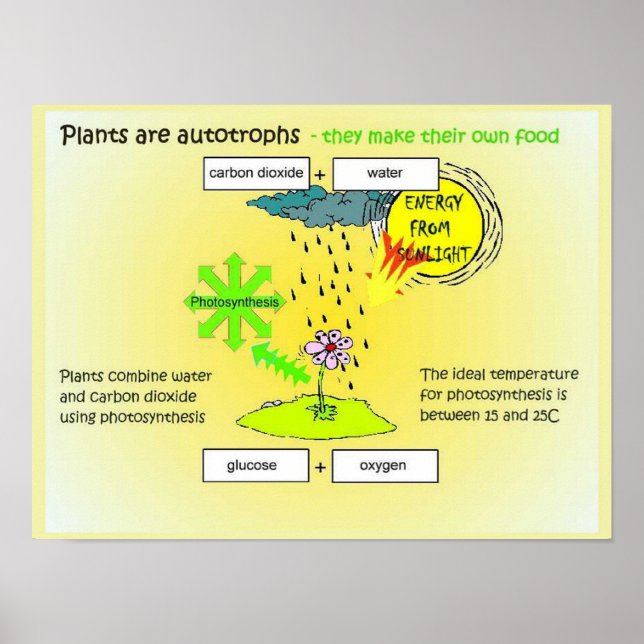 Poster Ciência, Plantas, autógrafos, comida (Frente)