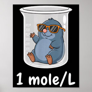 Poster Ciência & Tecnologia Química Divertida 1 Mol L