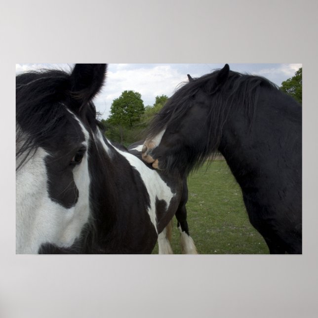 Pôster Ciganos (Frente)