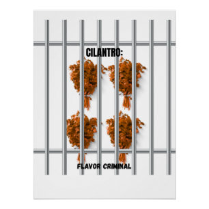 Pôster Cilantro: Flavor Criminal - Engraçado Anti-Cilantr