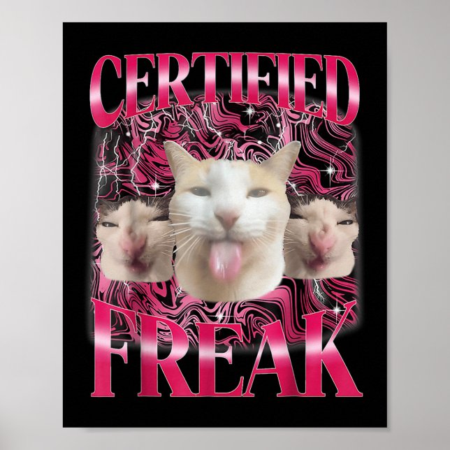 Poster Cimento de Comida de Pato Amaldiçoado Gato Engraça (Frente)