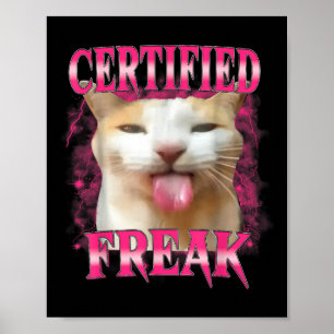 Poster Cimento de Comida de Pato Amaldiçoado Gato Engraça