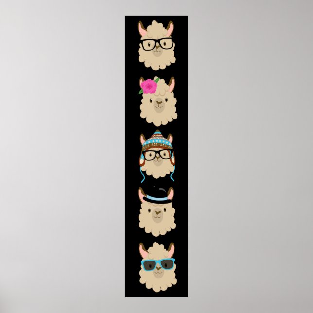 Poster Cinco Llamas Funny (Frente)