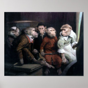 Poster Cinco macacos Ricos