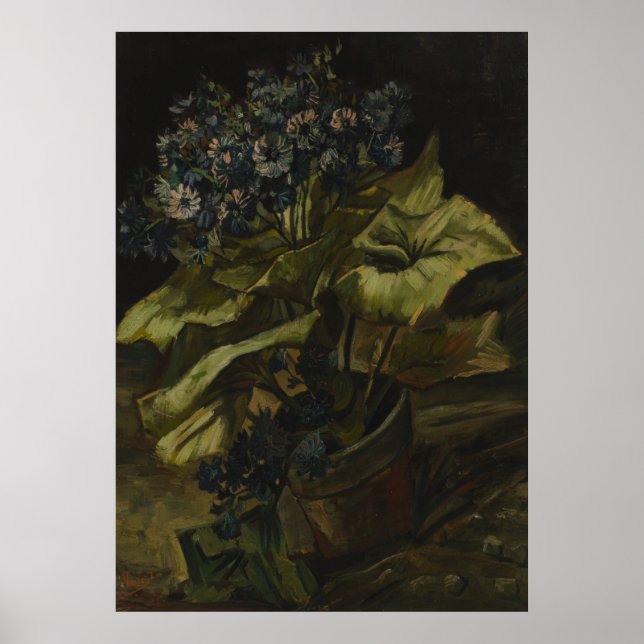 Pôster Cineraria por Vincent Van Gogh (Frente)