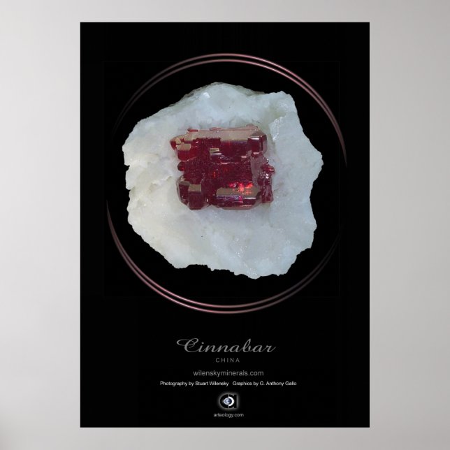 PÔSTER CINNABAR (Frente)