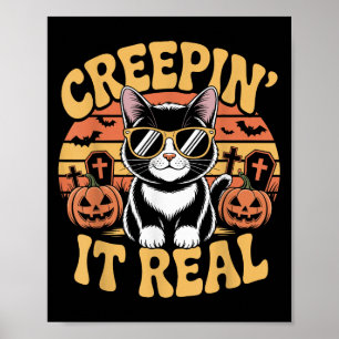 Poster Cinto De Cachorro Muito Engraçado Gato Halloween P