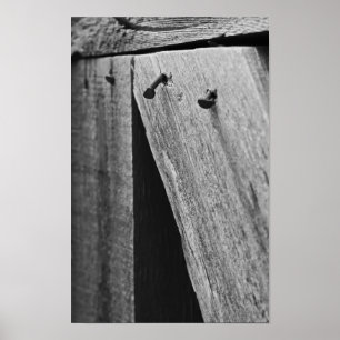 Pôster Cinturão de Orion