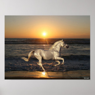 Poster Cinza Andaluciano Correndo Em Praia Por Mar