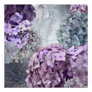 Pôster Cinza azul Vintage floral Hydrangea Flor