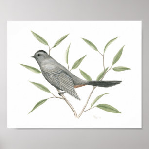 Poster Cinza Catbird Fine Art