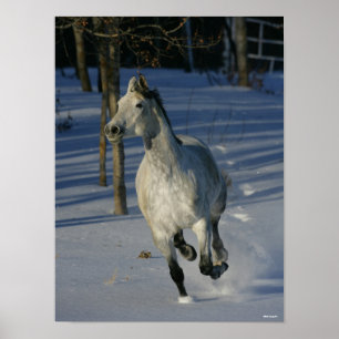 Poster Cinza de ananás que corre na neve