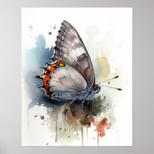 Poster Cinza de Arte da Borboleta Hairstreak
