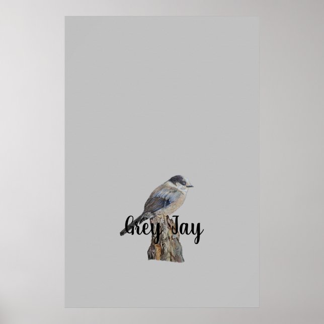 Poster Cinza de Arte Original Jay ou Whiskey Jack Bird (Frente)