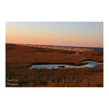 Cinza de passarela de praia