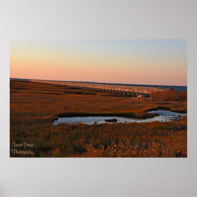 Poster Cinza de passarela de praia (Frente)