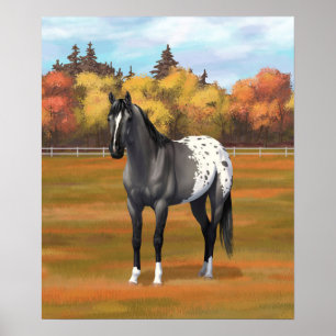 Poster Cinza Grulla Appaloosa Quarter Horse Stallion