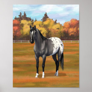 Poster Cinza Grulla Appaloosa Quarter Horse Stallion