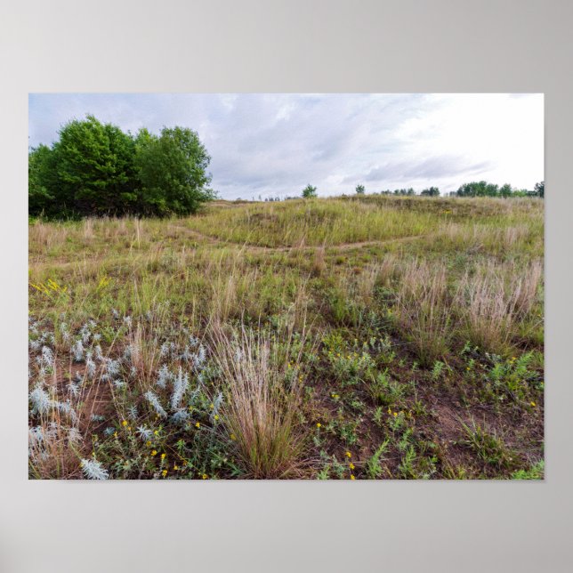 Poster cinza nuvem dunas prairie paisagem (Frente)