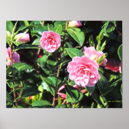 Poster Cinza-rosa - Arte de Parede Digital de Pintura