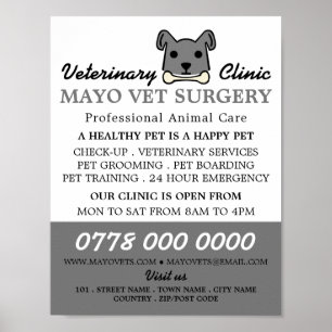 Poster Cinza, veterinário, Serviço Veterinário
