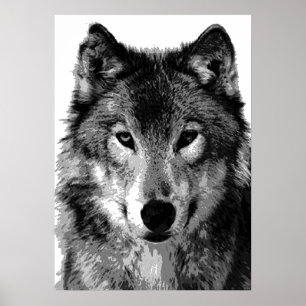 Poster Cinza Wolf