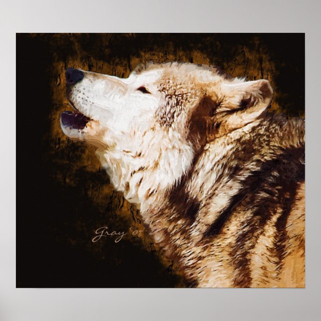 Poster Cinza Wolf Bay (Frente)