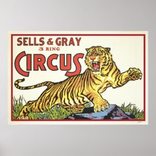 Poster Circo do anel das vendas & das cinzas 3