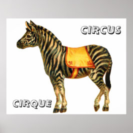 Poster Circo Vintage executando zebra