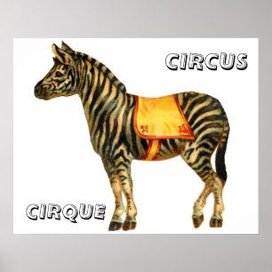 Poster Circo Vintage executando zebra