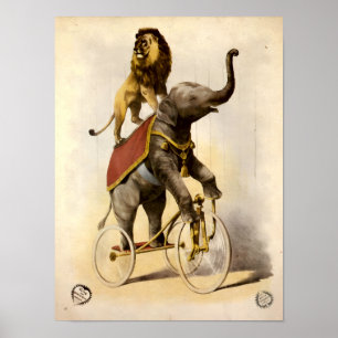 Poster Circo Vitoriano Lion & Elefante em Triciclo