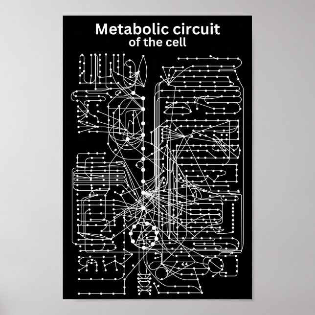 Poster Circuito metabólico da célula (Frente)