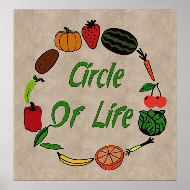 Poster Círculo Da Vida (Frente)