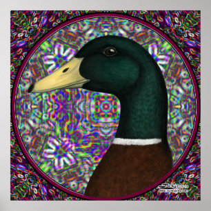Poster Círculo do mosaico de Drake do pato selvagem