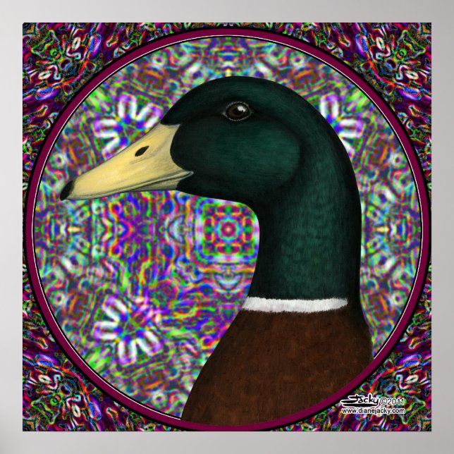 Poster Círculo Mosaico de Mallard Drake (Frente)