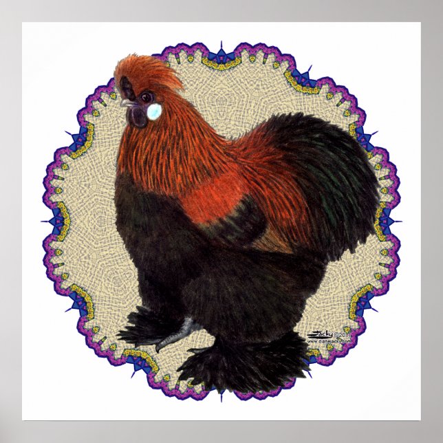 Poster Círculo Silkie (Frente)