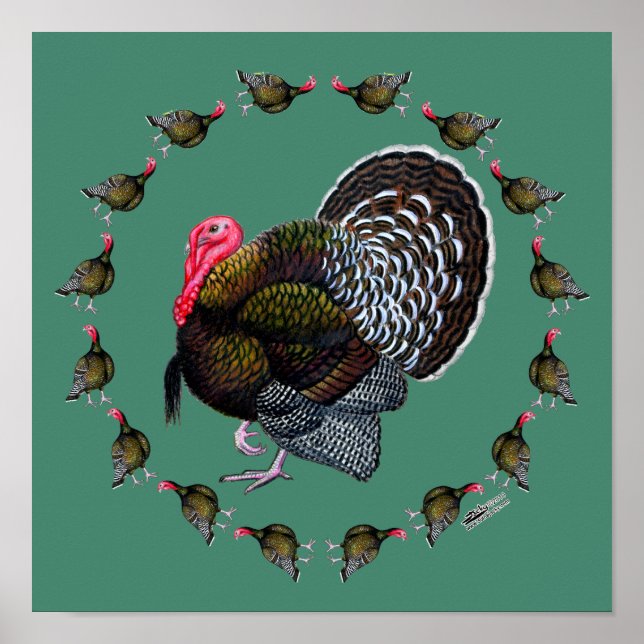 Pôster Círculo Turquia (Frente)