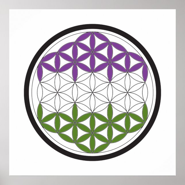 Pôster círculos sagrados gêneroQueer (Frente)